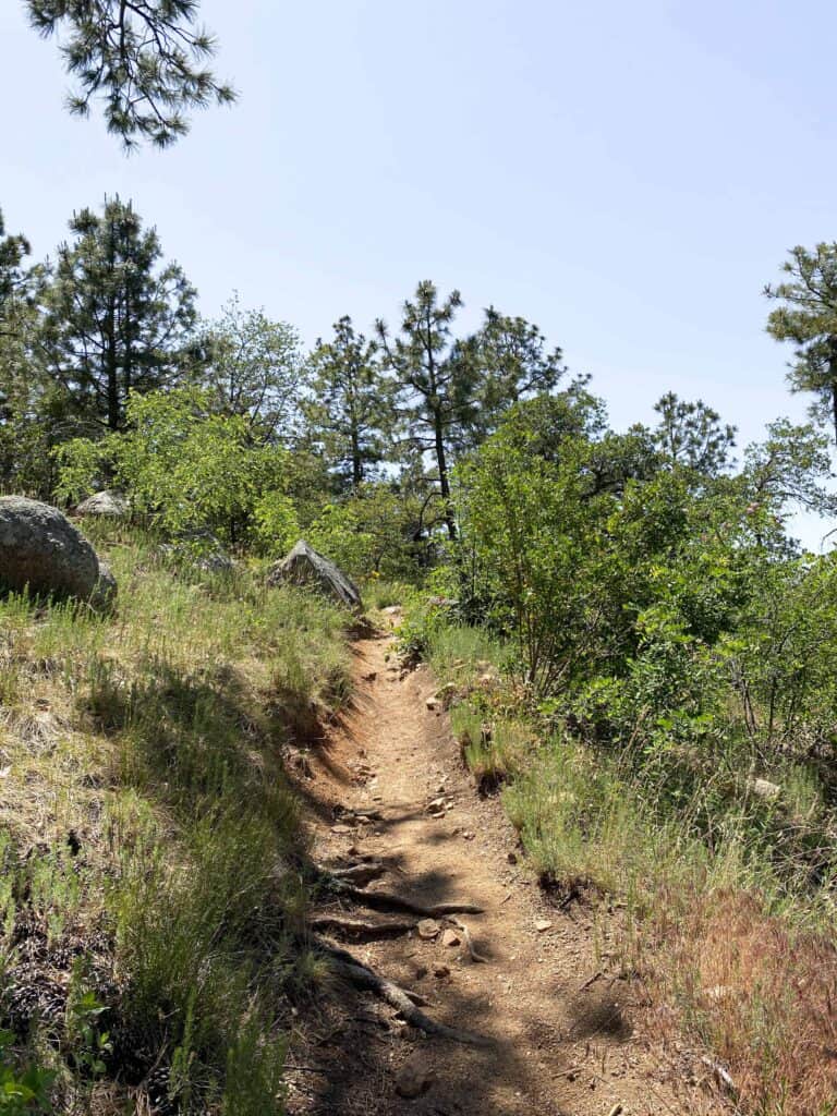 Browns Trail, Four Peak Wilderness