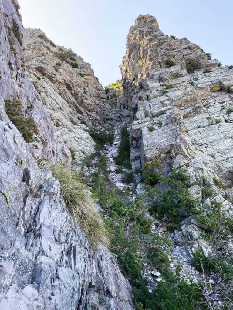 The scree chute climb to Browns Peak