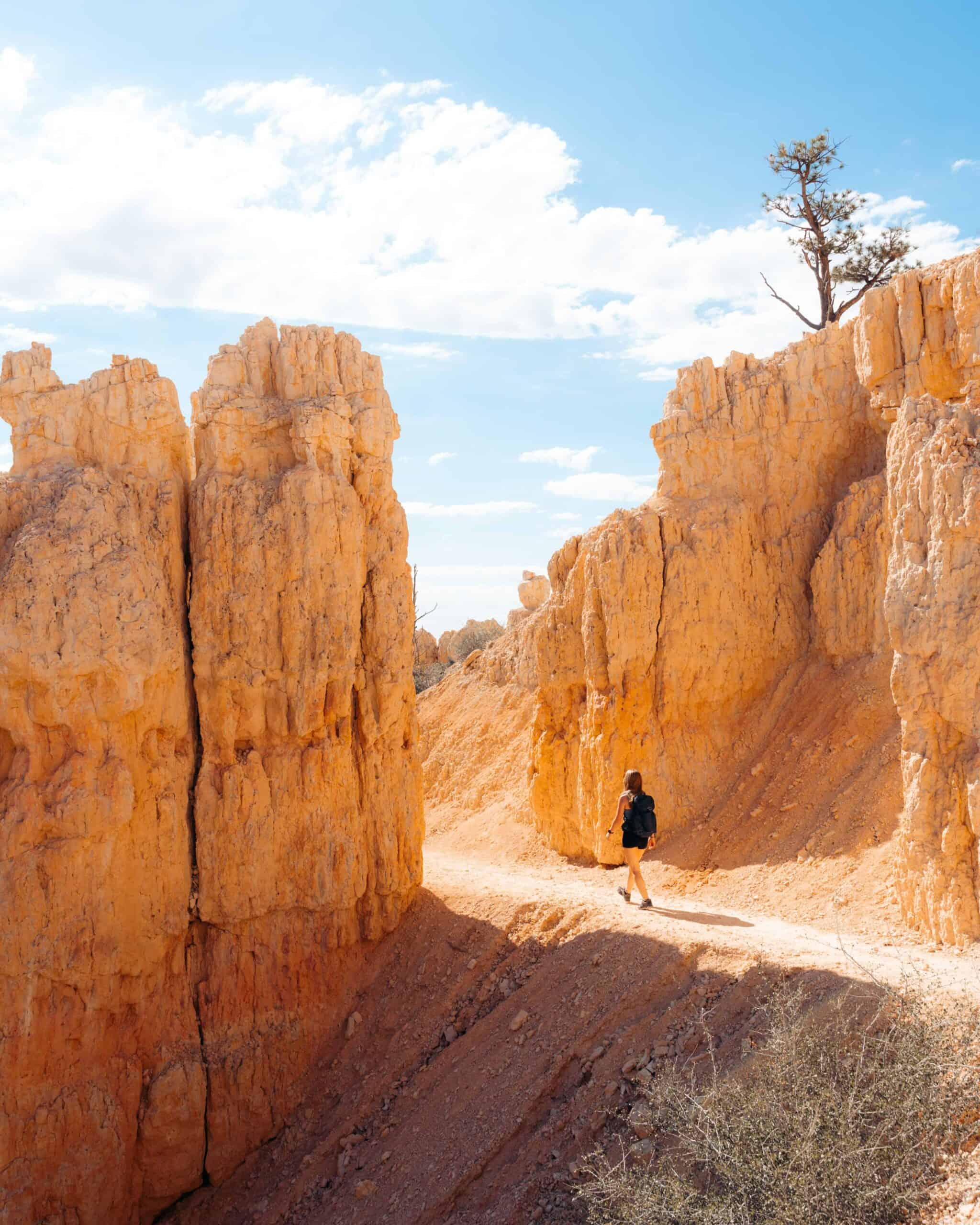 Fairyland Loop Trail in Bryce Canyon.