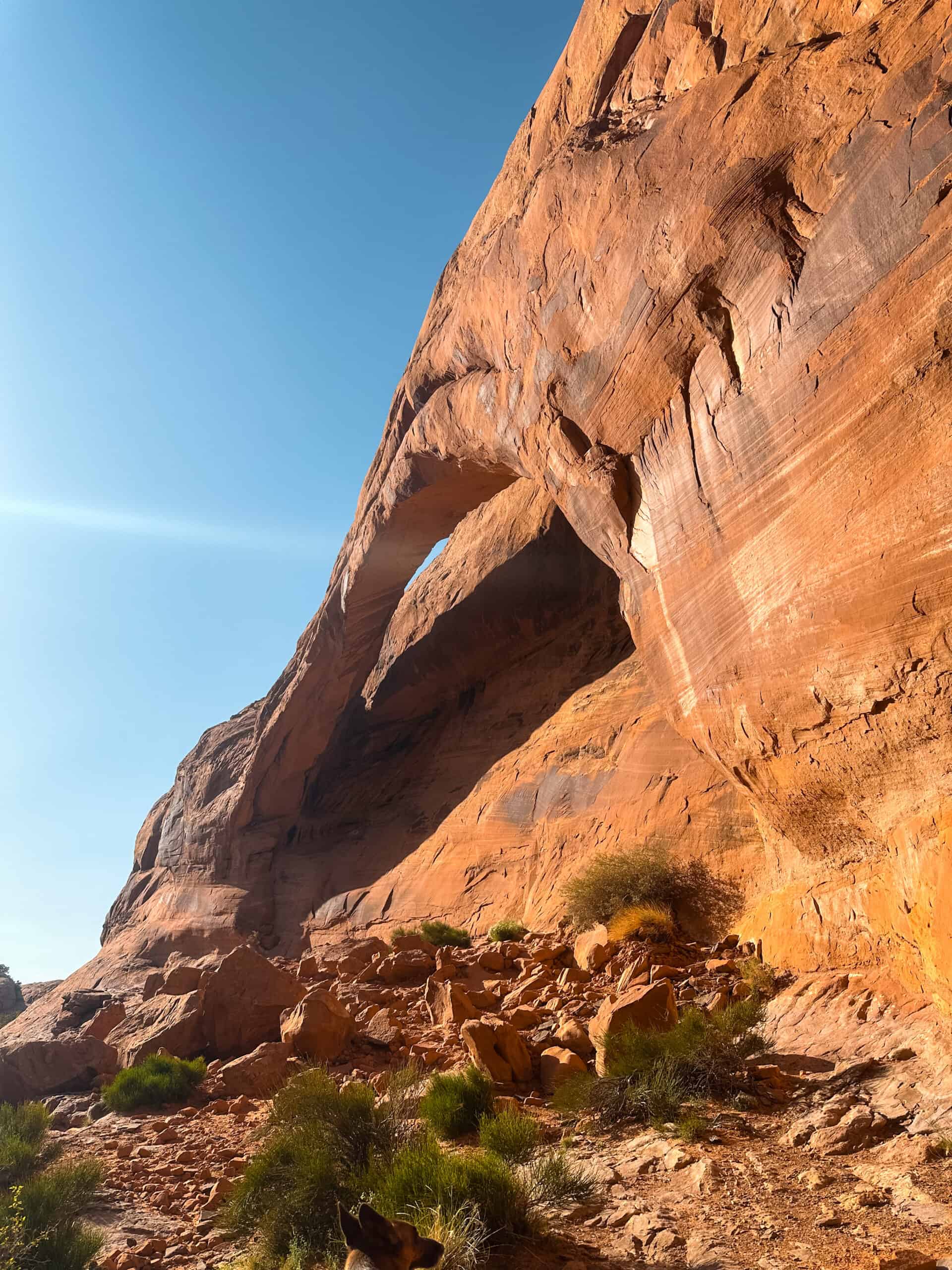 Longbow Arch In Moab.
