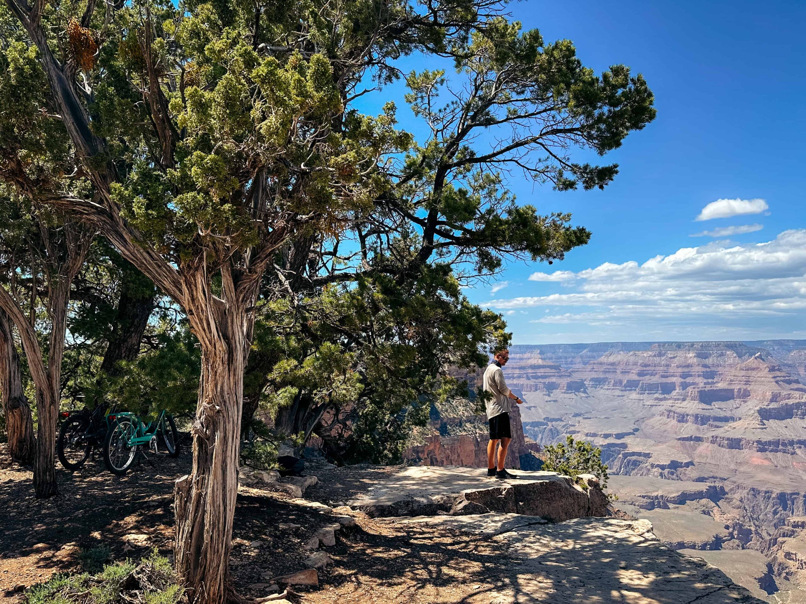 Grand Canyon Bike Rentals.