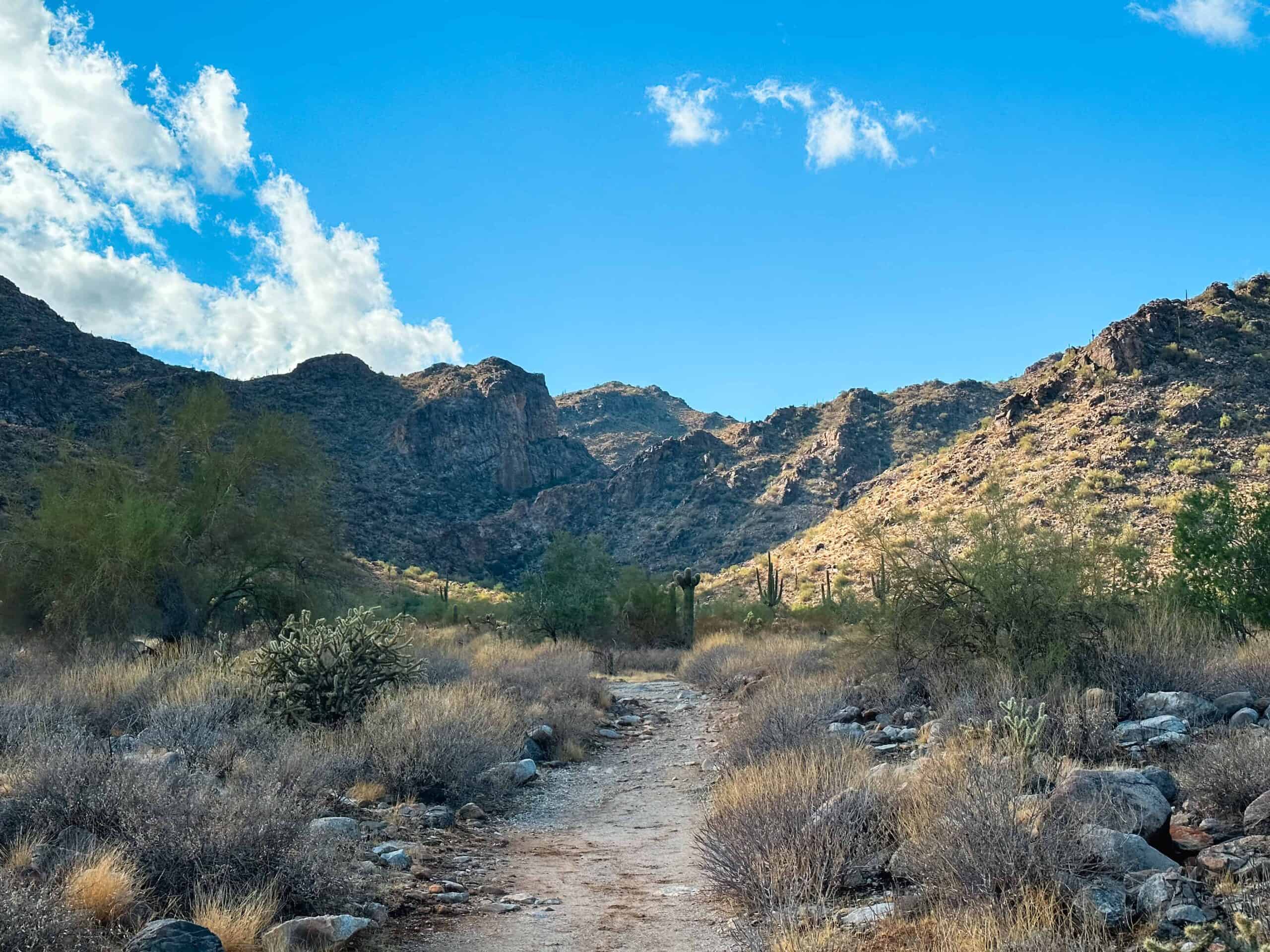 Black Rock Loop Trail- An Easy Hike In White Tank Mountains.
